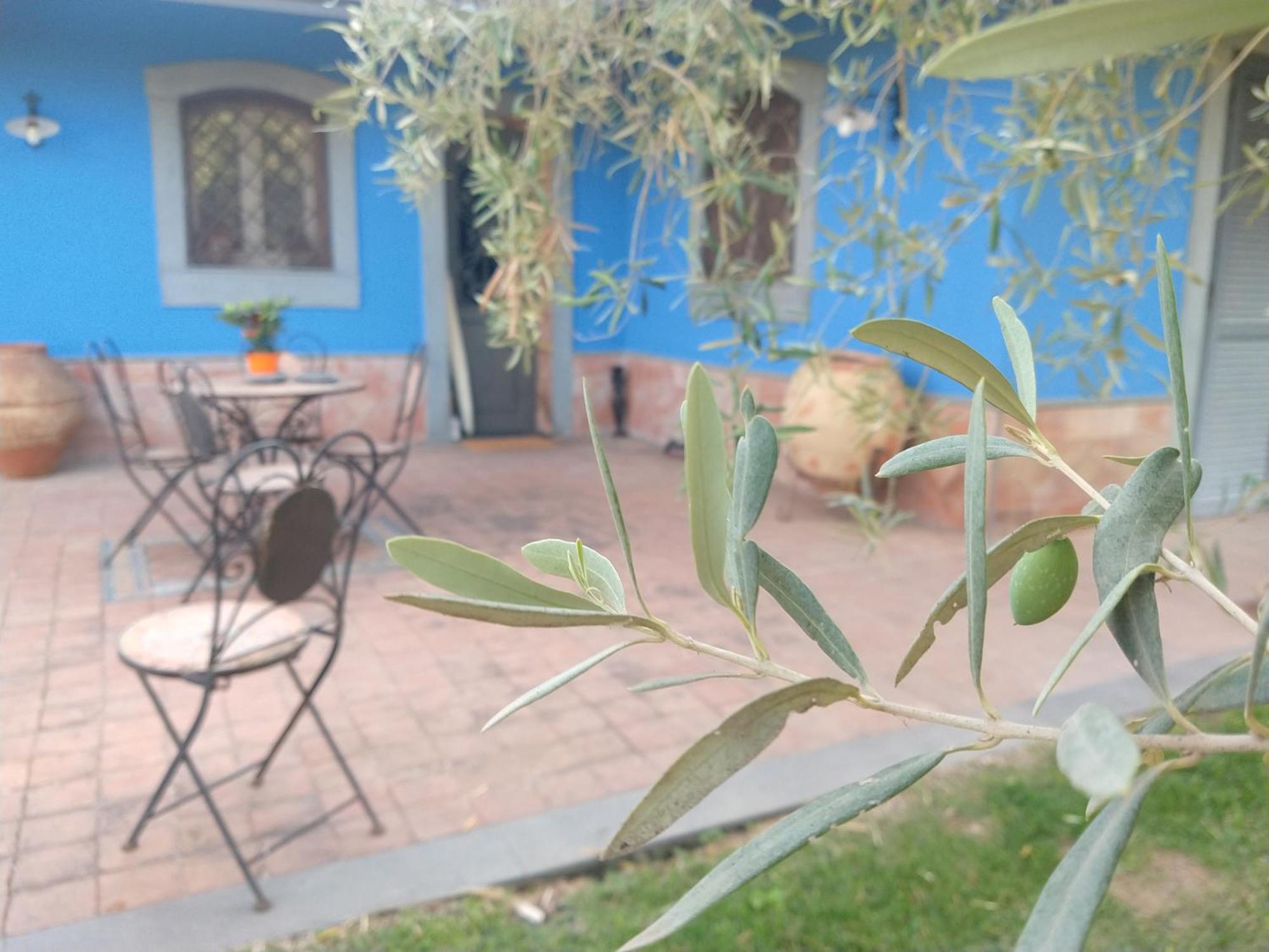 Villa Hephaestus Etna - With Private Pool Ragalna Exterior foto